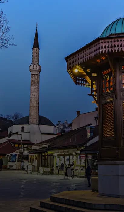 Bosna naslovna slika